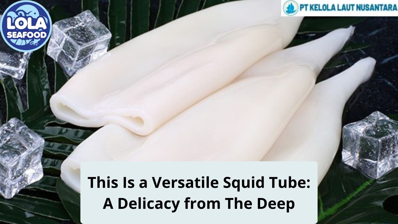 This Is a Versatile Squid Tube: A Delicacy from The Deep